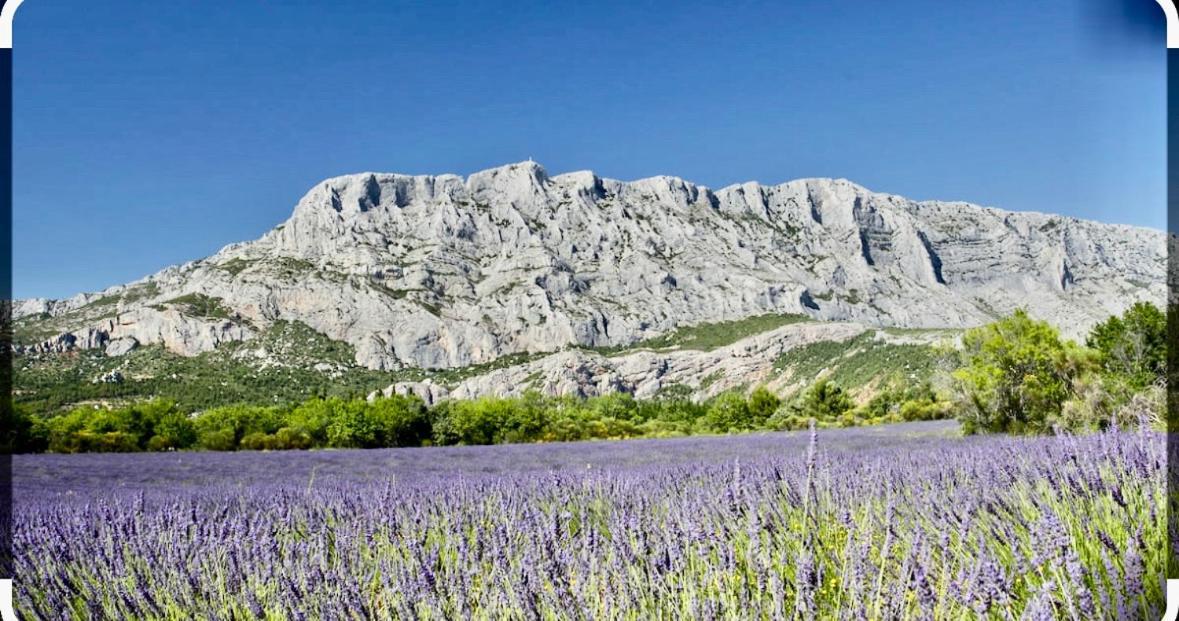 Charmant Studio Le Clos D'Aix Parking Prive Gratuit Et Piscine Aix-en-Provence Eksteriør bilde